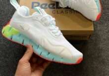 Reebok Zig Dynamica Running Shoe