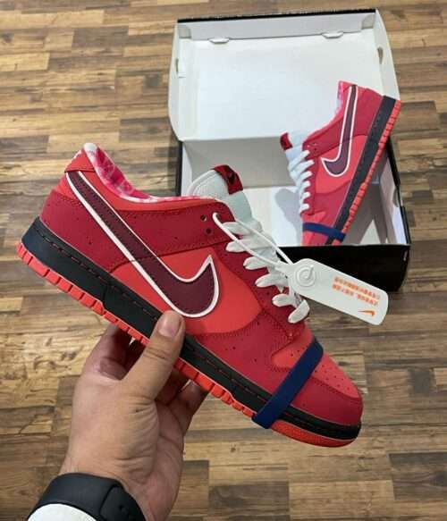 Nike SB Dunk Low x concepts